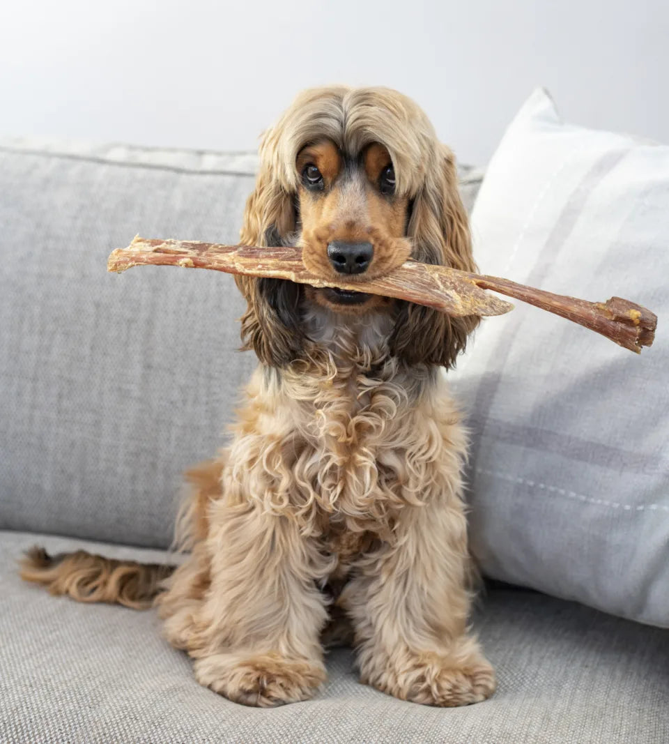Giant Paddywack Stick