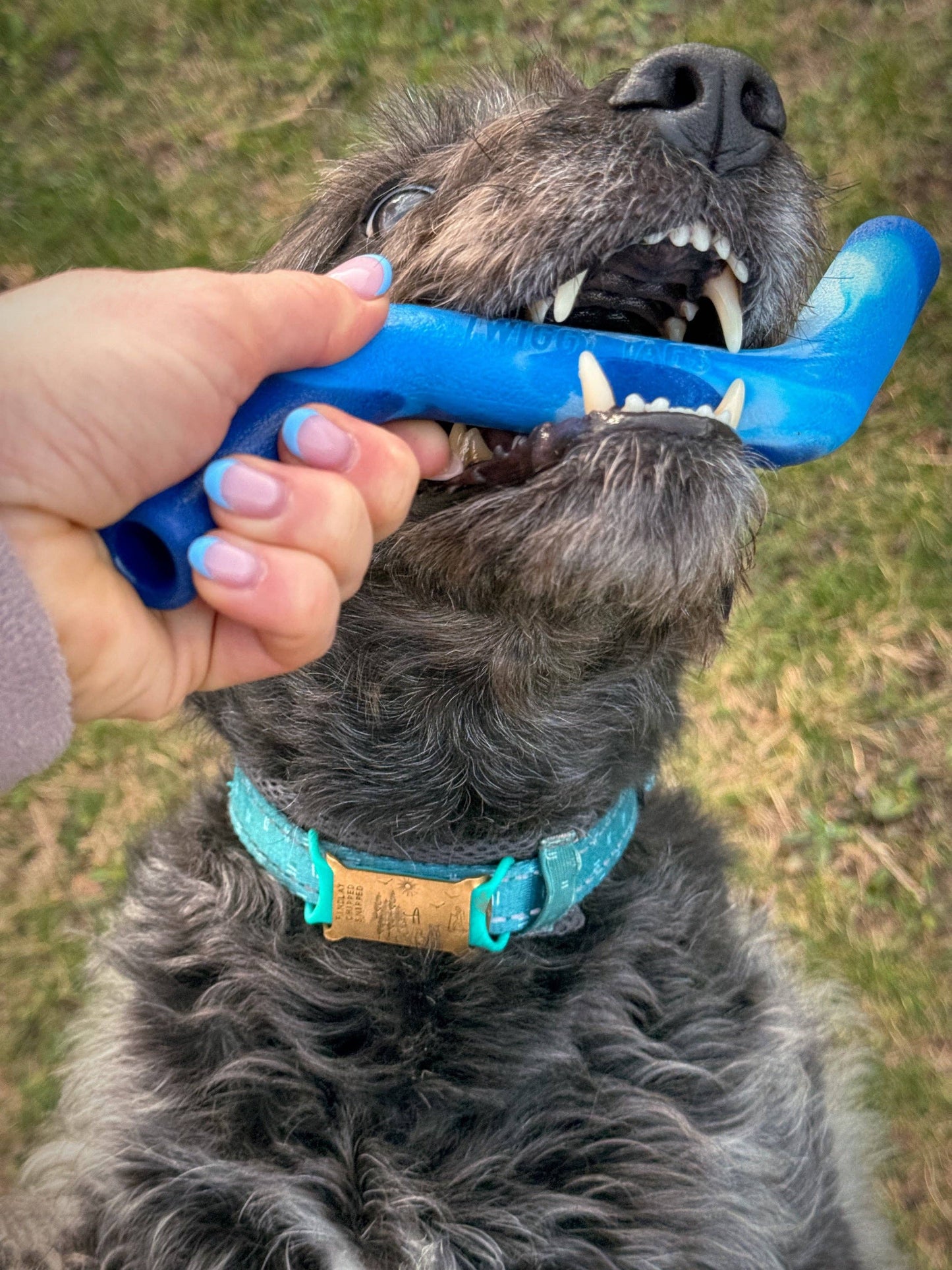 ZigZoom™ Interactive Safe Fetch Recycled Rubber Dog Toy