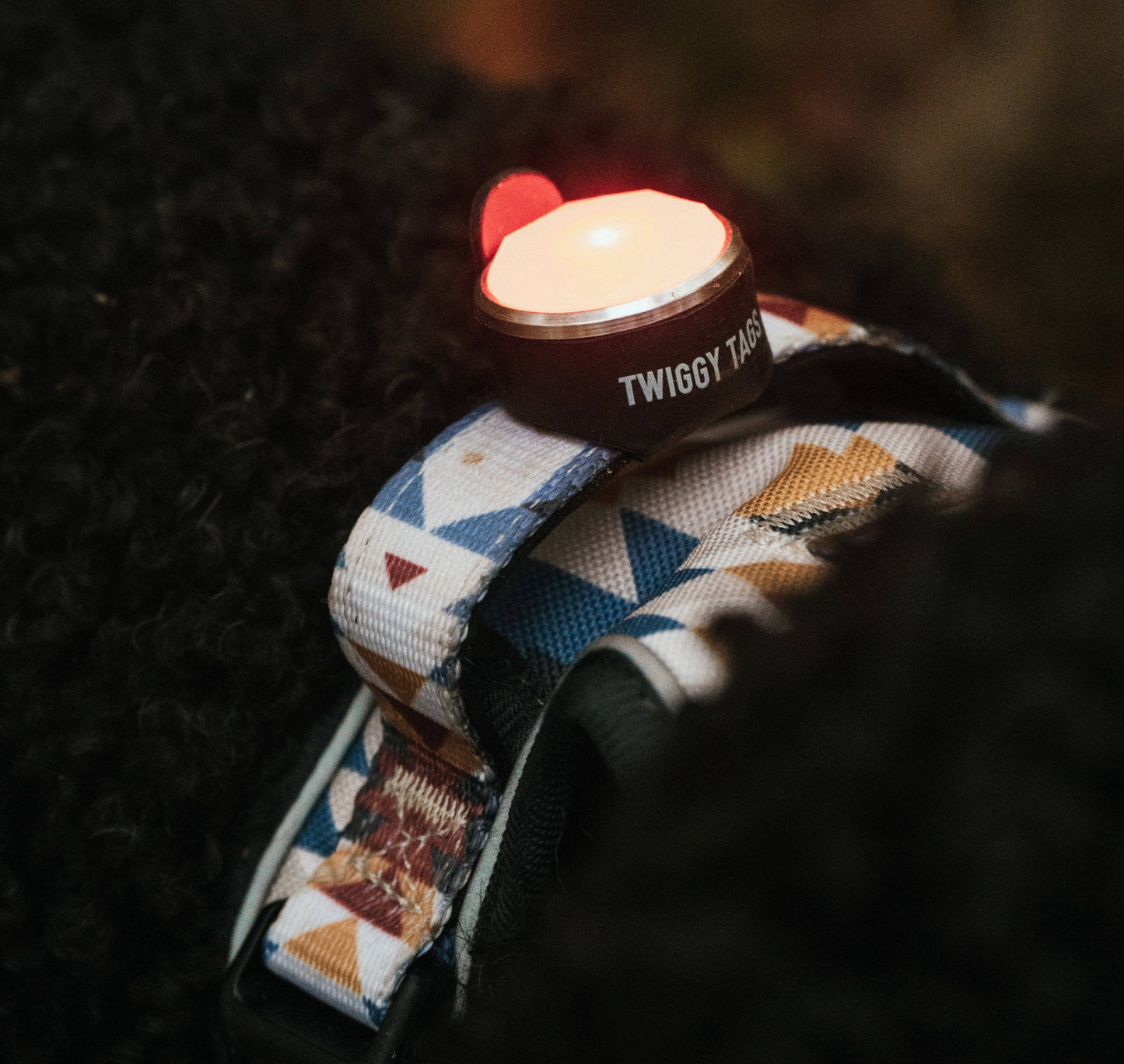 TrekBright™ Adjustable Rechargeable Dog Safety Light