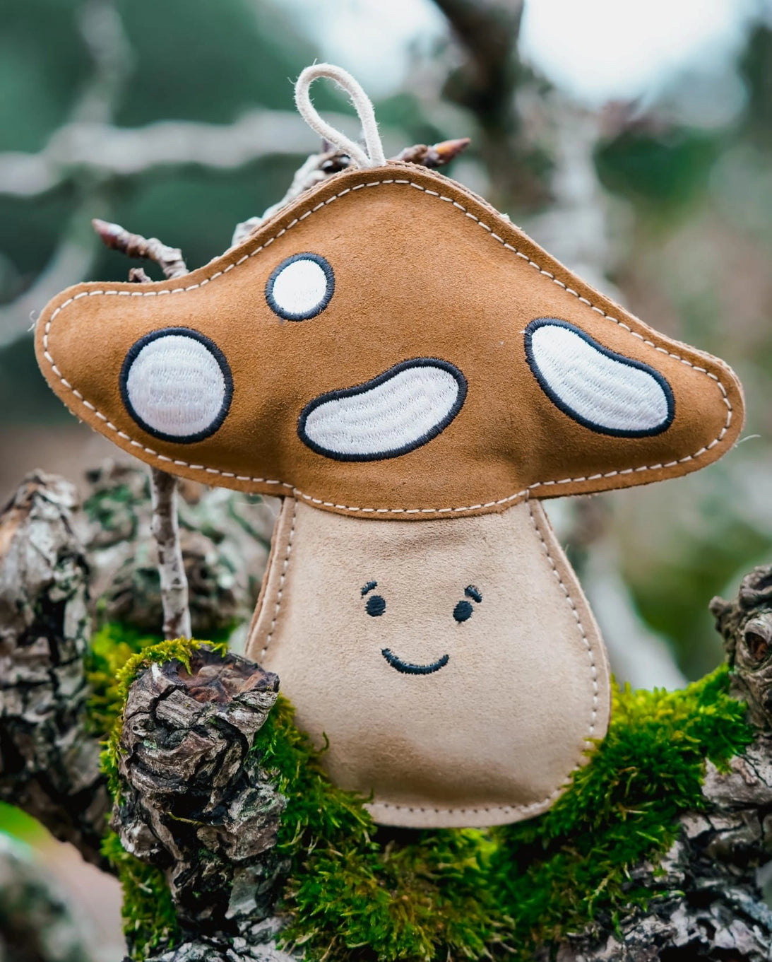 Chestnut The Mushroom
