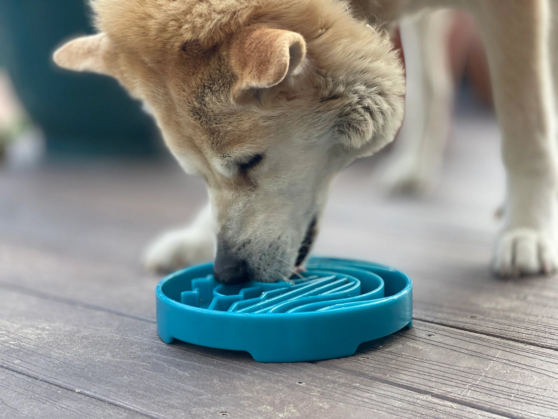 Baja Etray
