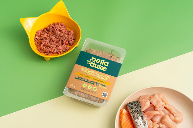 Bella & Duke Cat: Chicken & Salmon Raw