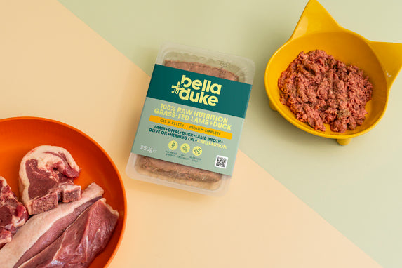 Bella & Duke Cat: Lamb & Duck