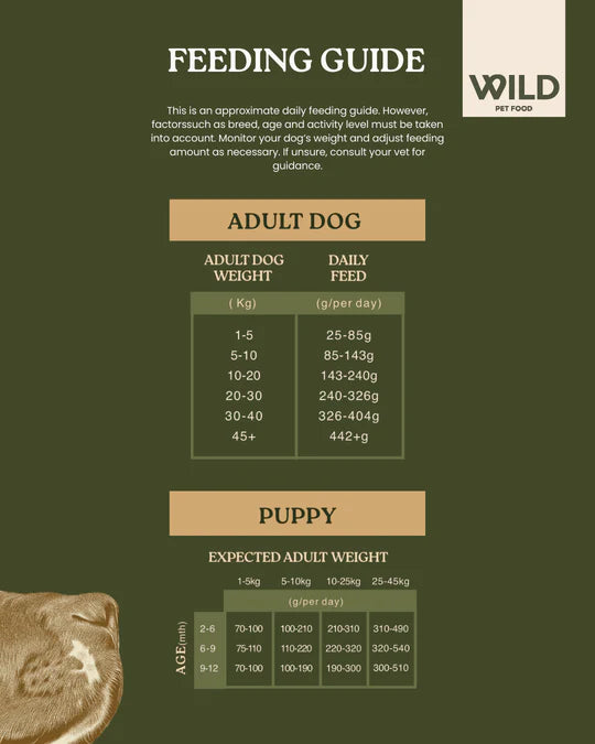 Rabbit - 80:20 Lean Cold-Pressed