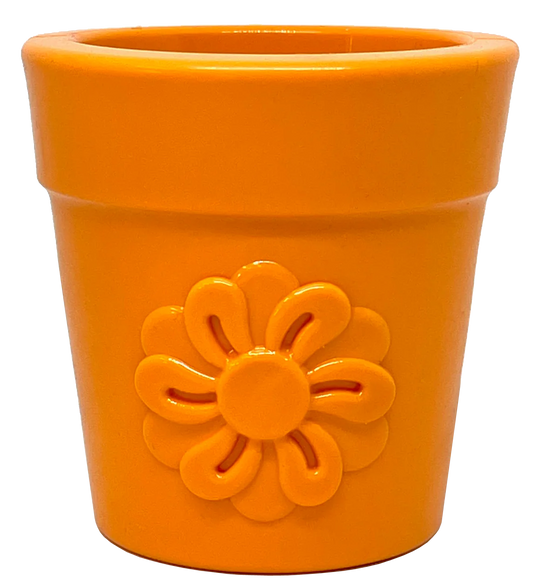Flower Pot