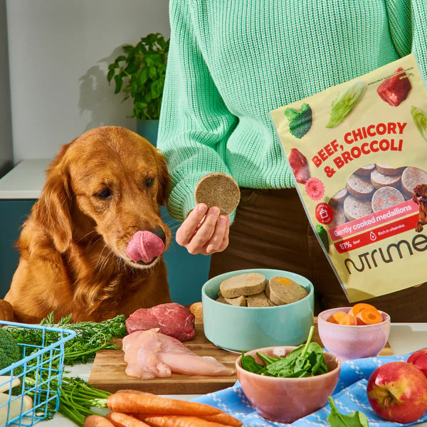 Nutriment Beef, Chicory & Broccoli Medallions