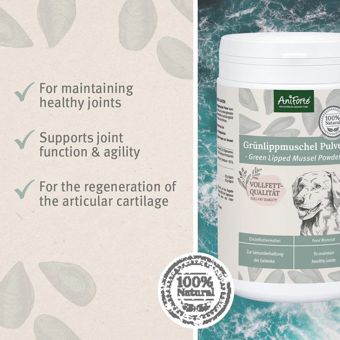 AniForte Green Lipped Mussel Powder