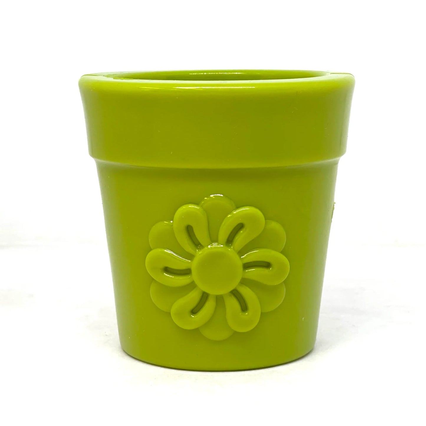 Flower Pot