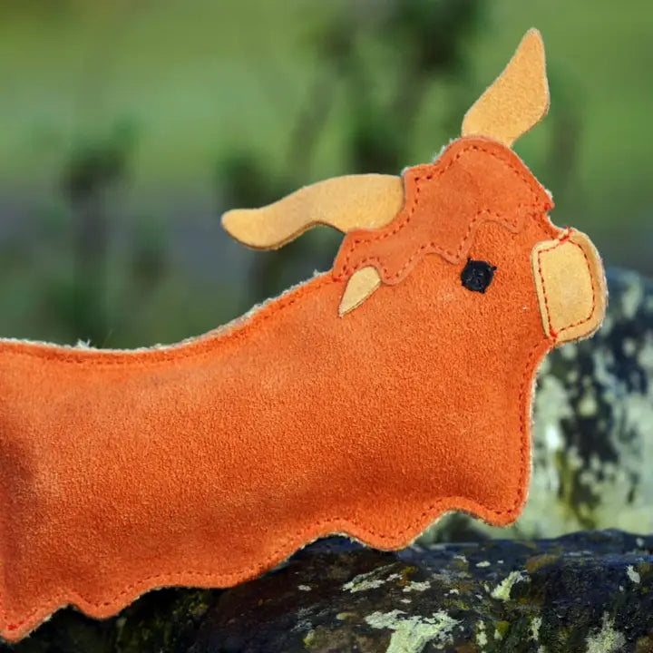 Hamish The Highland Cow
