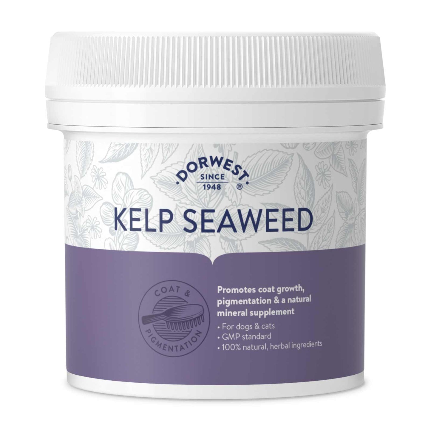 Kelp Seaweed