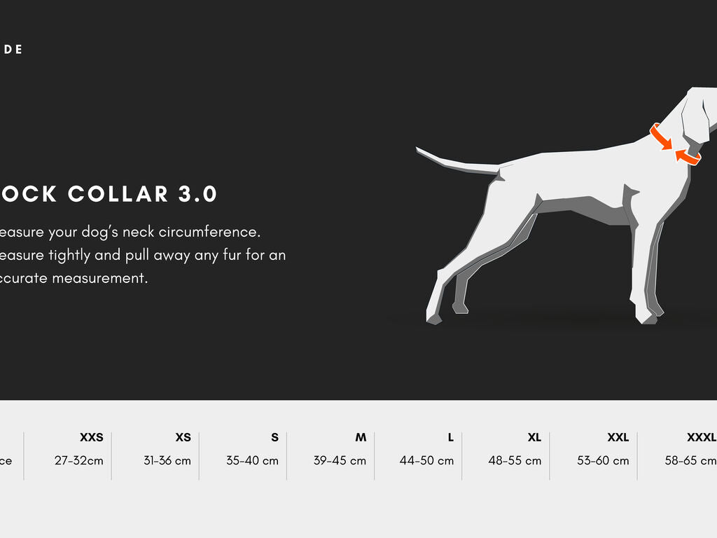 Rock Collar 3.0