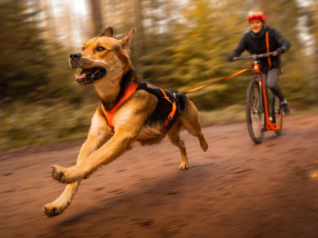 Non Stop Freemotion 5.0