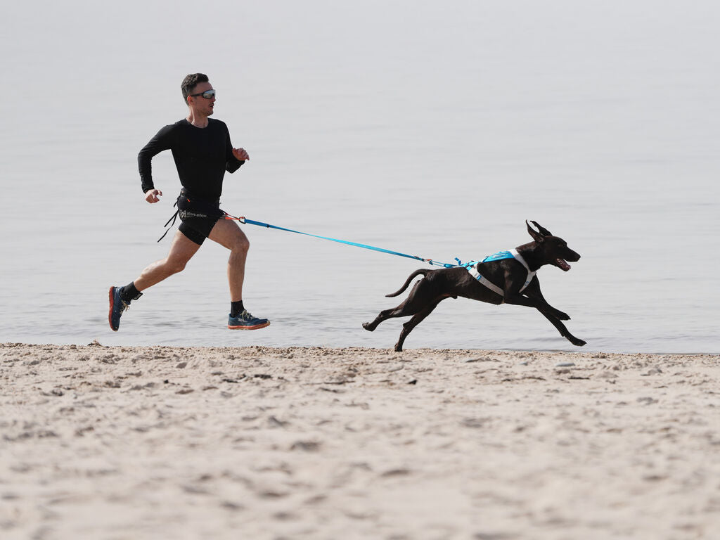 Intro to Canicross Workshop: Cuerden Valley Taster (Sunday, May 10th)