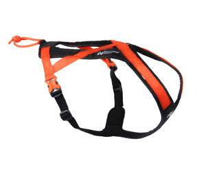 NonStop Rush Harness
