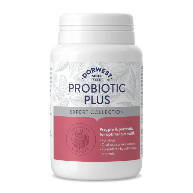 Probiotic Plus