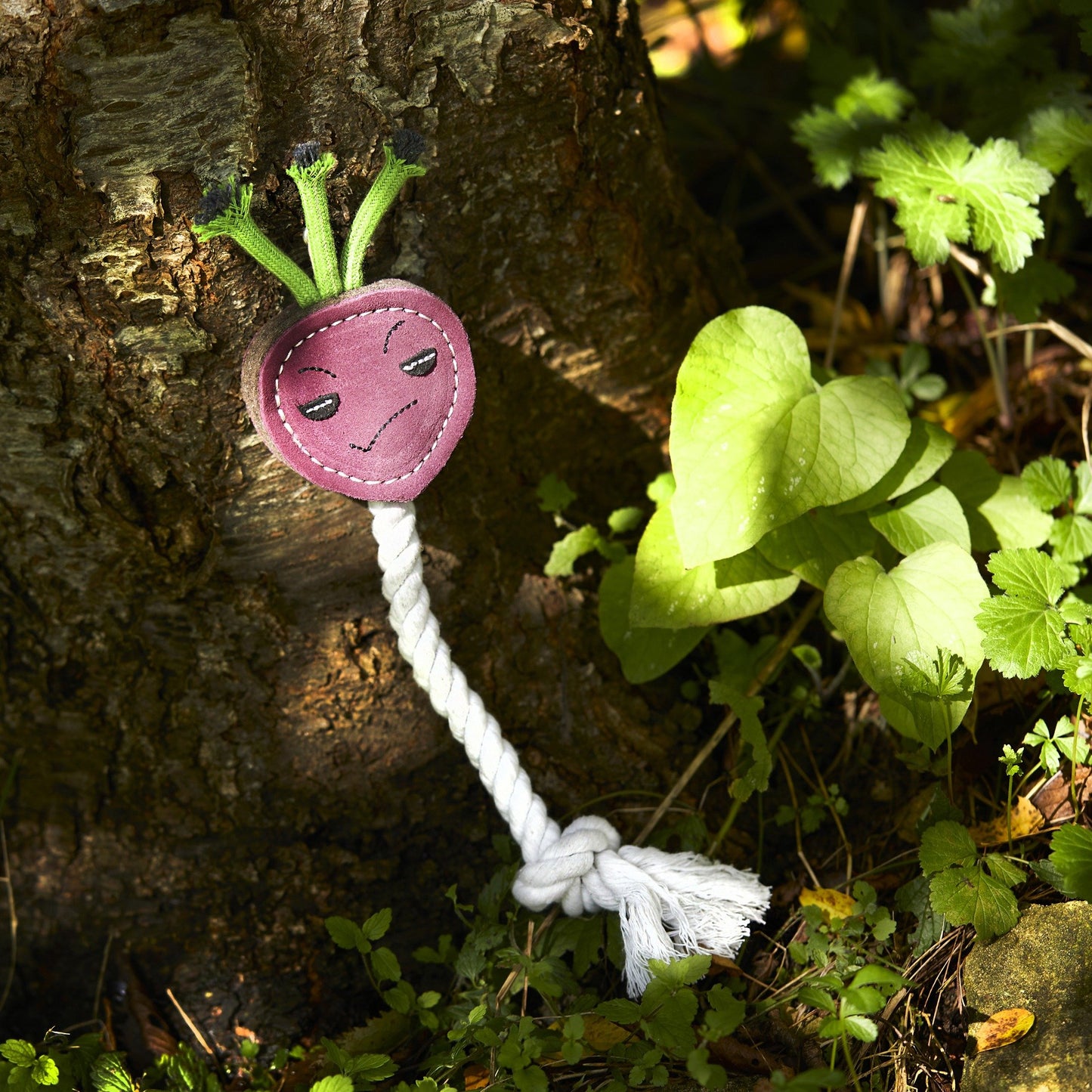 Ruby The Radish