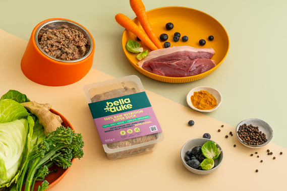 Bella & Duke: Super Duck