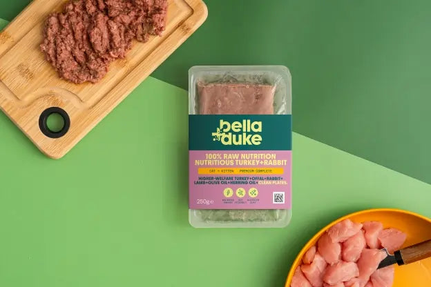 Bella & Duke Cat: Turkey & Rabbit