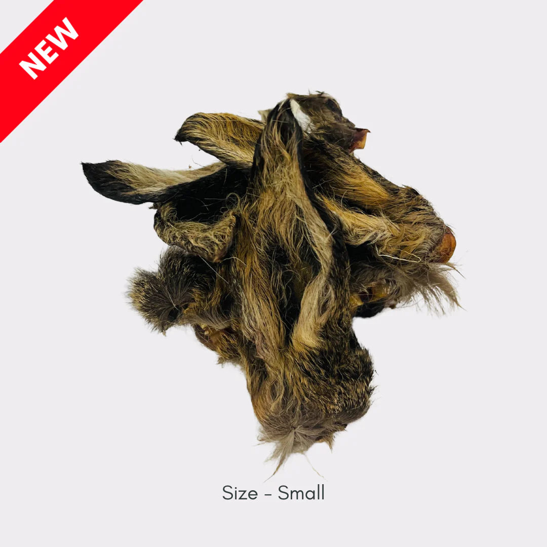 Hairy Venison Ear