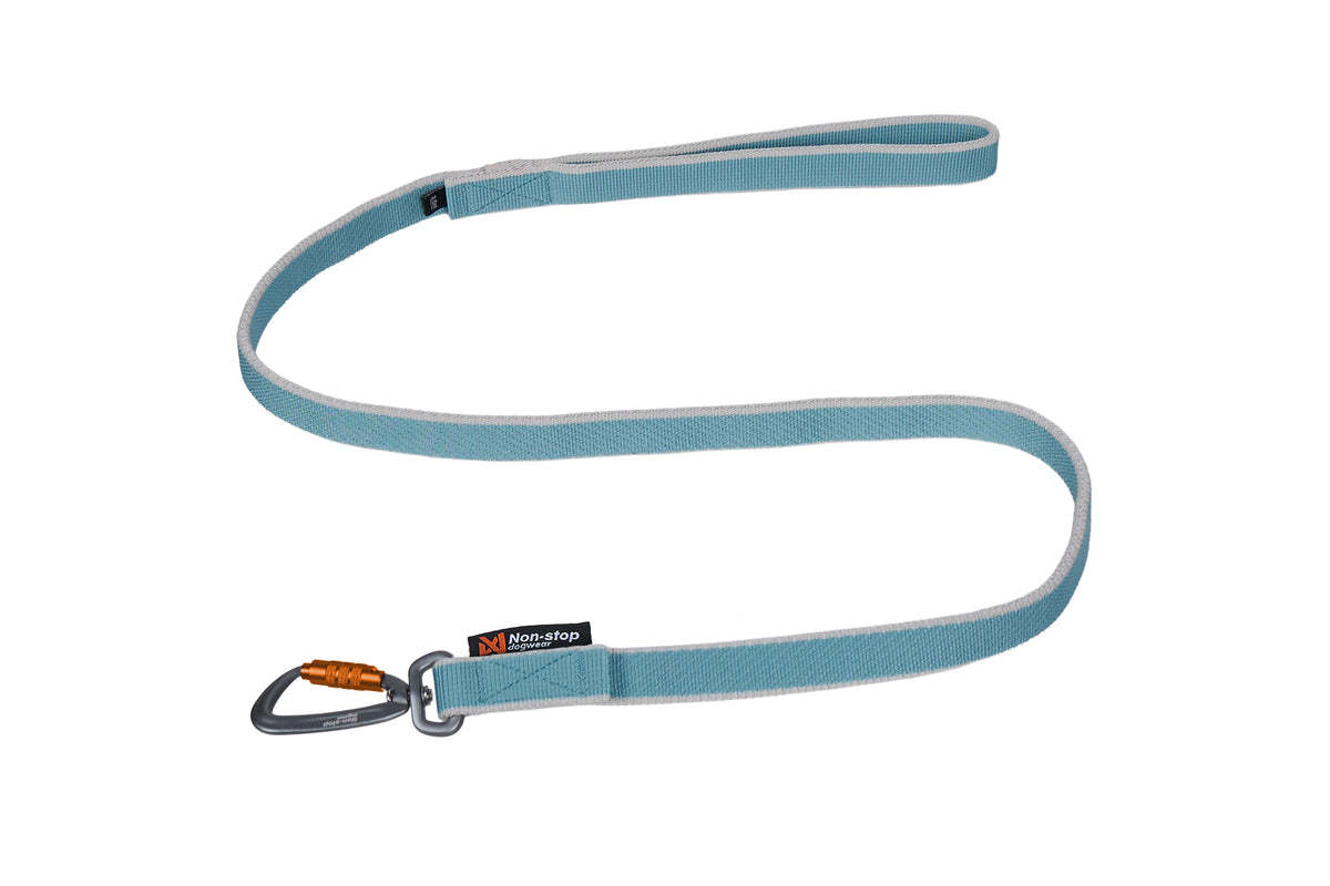 Bungee Lead
