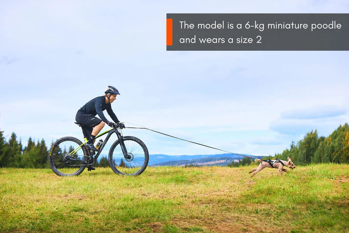 Non-Stop Dogwear Freemotion