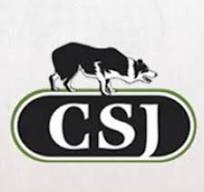 CSJ