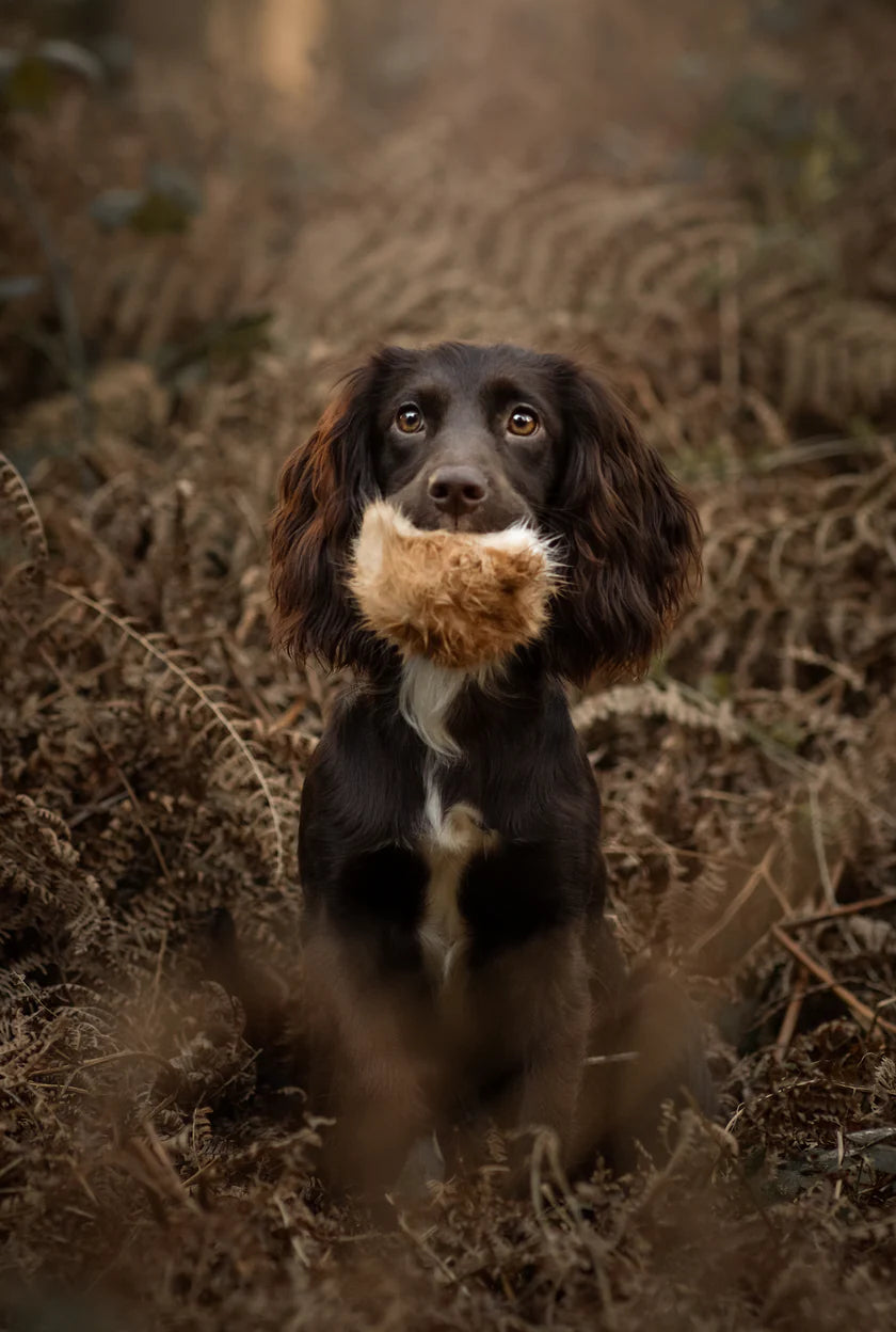Muntjac® Furry Tennis Rabbit Ball