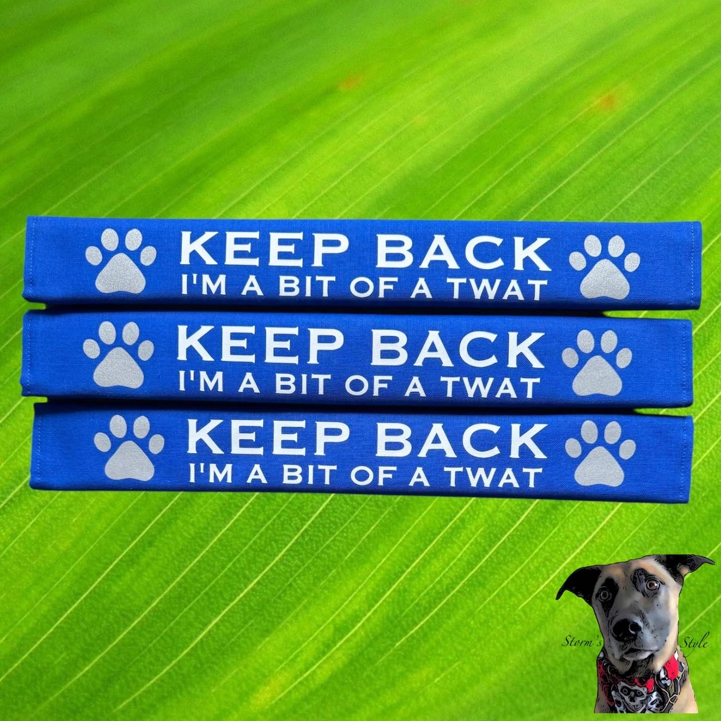 Lead Slips - Reactive, Nervous, Blind, Deaf, Friendly