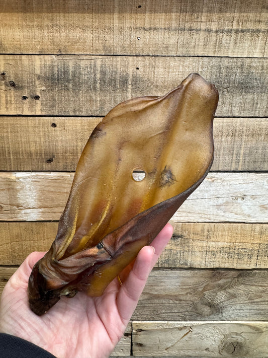 Cow Ear - without hair