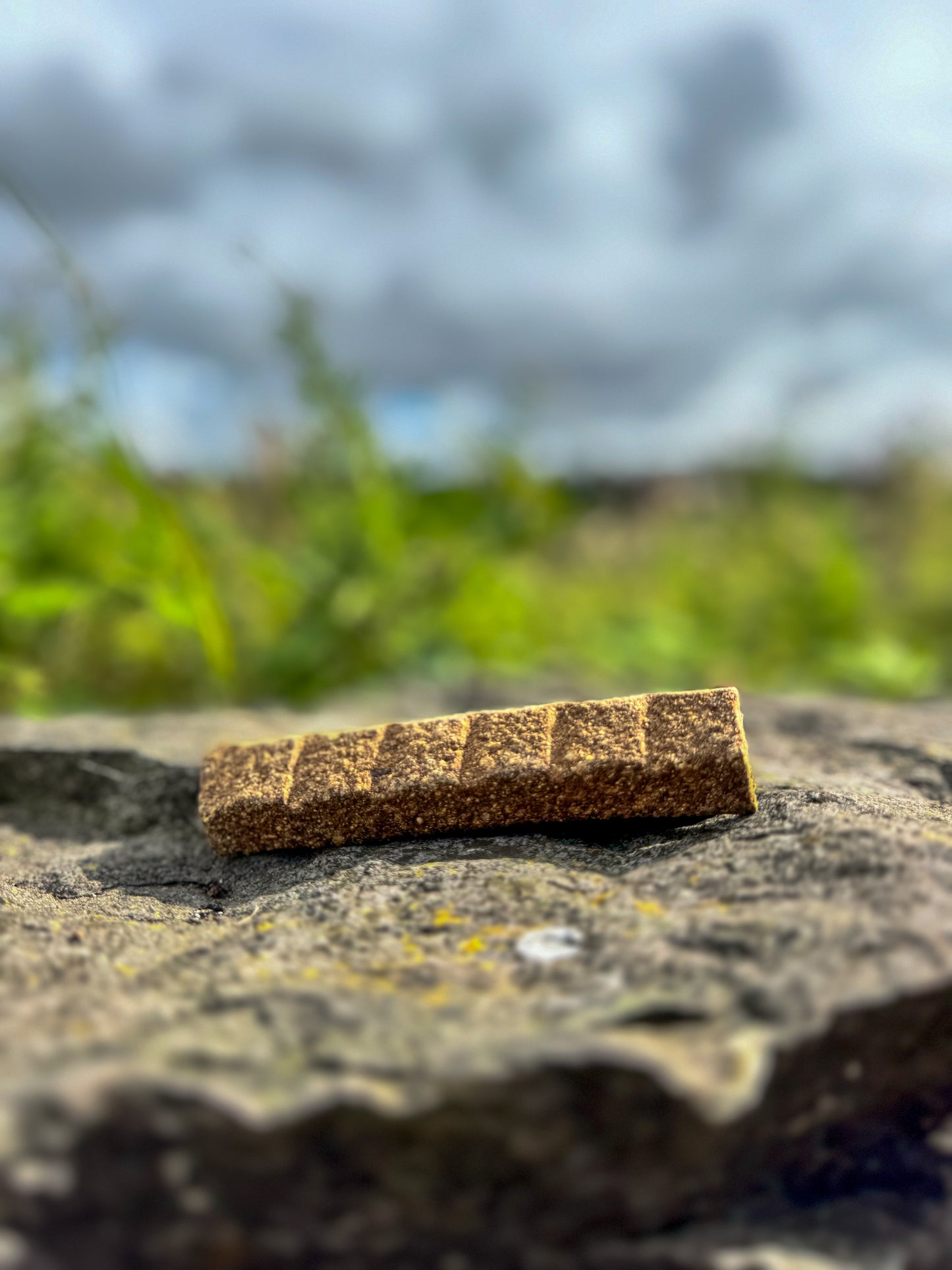 Venison Superfood Bar