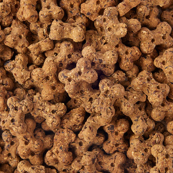 Axels Elixir Broth Bites - Beefy Buffalo