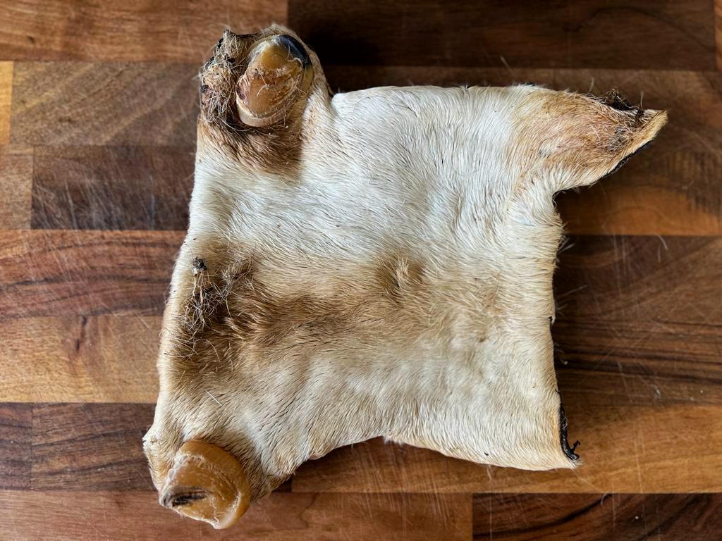 Beef Skin Plate with Hair