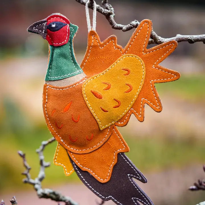 Bracken The Pheasant