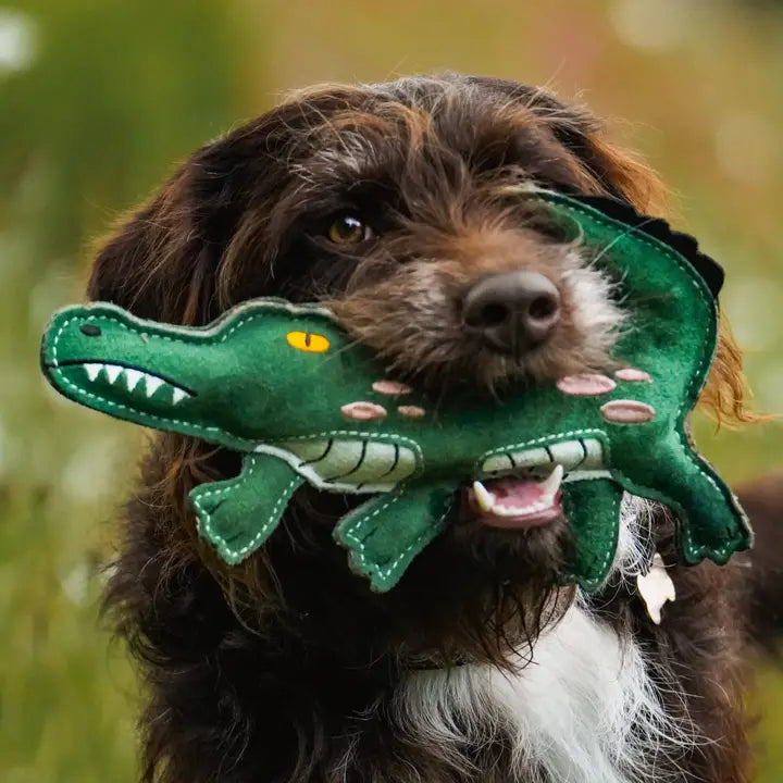 Clive The Crocodile