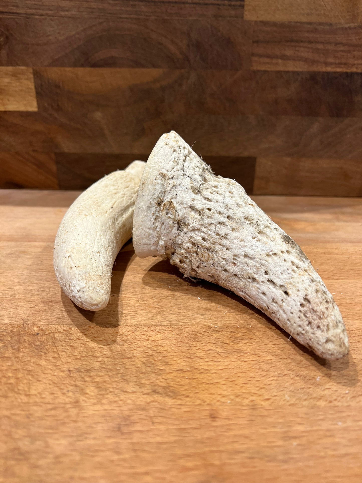 Anco Cow Horn Marrow (Single)