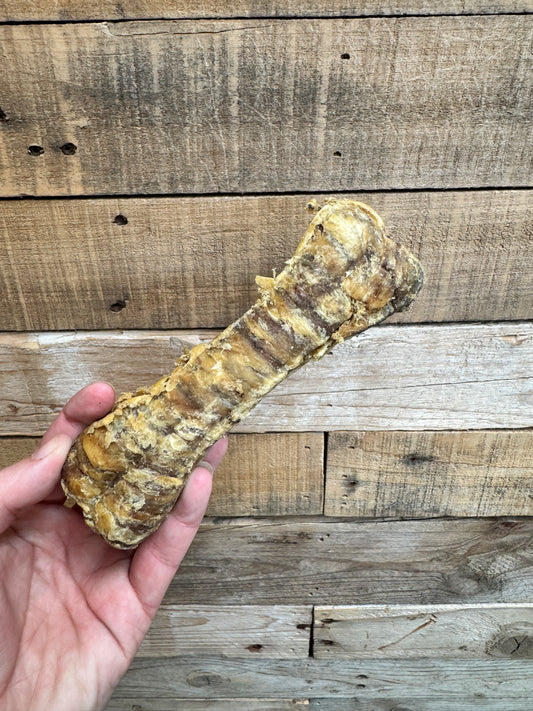 Buffalo Trachea Bone