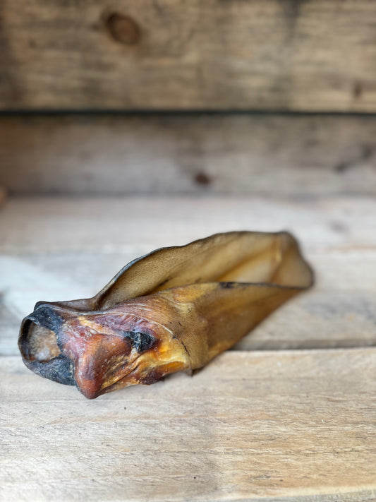 Buffalo Ear