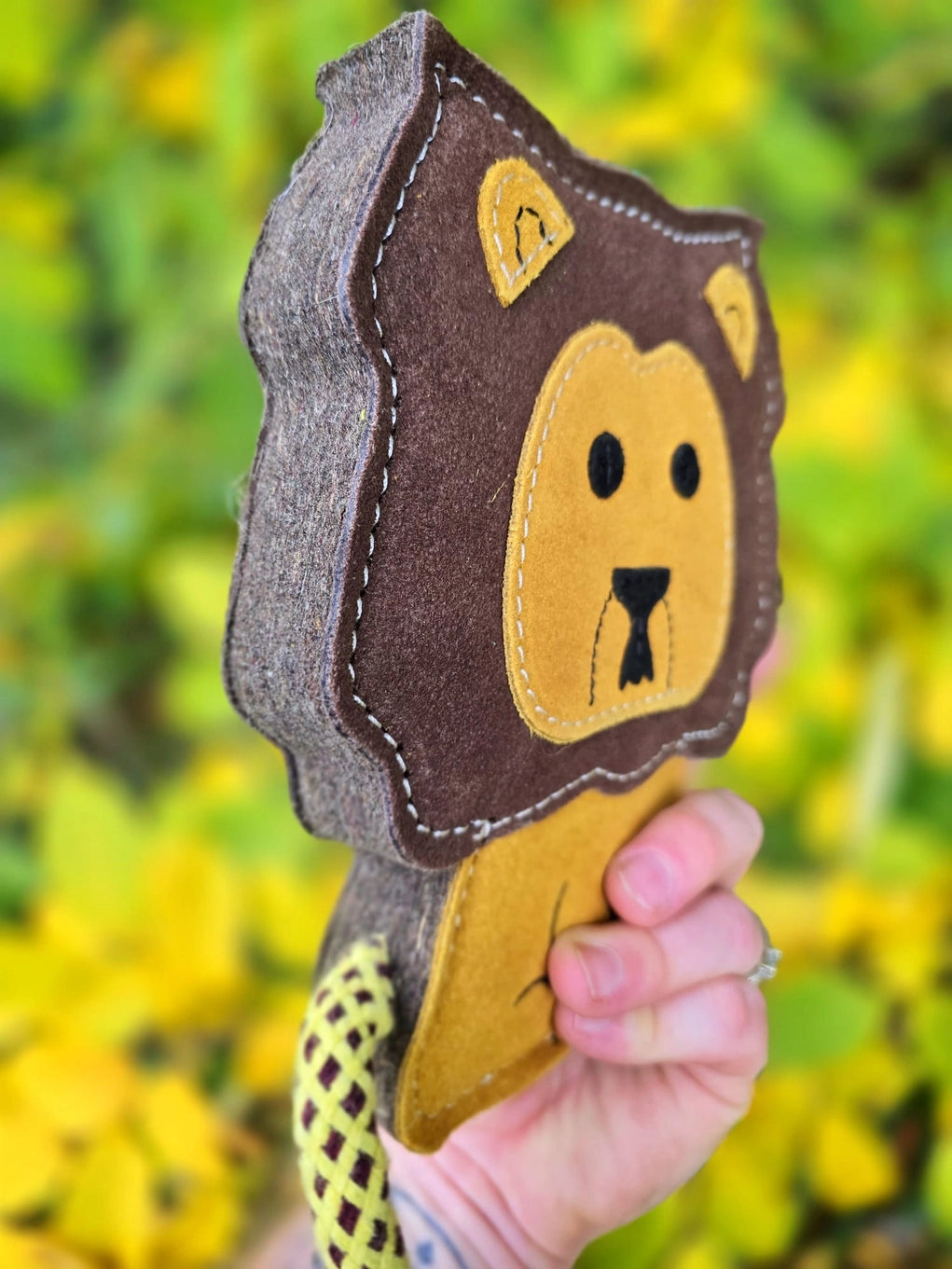 Howard The Lion