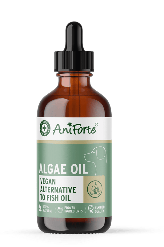 Algae Oil
