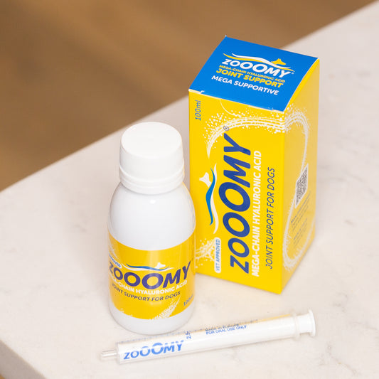 Zooomy