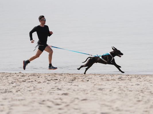 Non Stop Freemotion 5.0