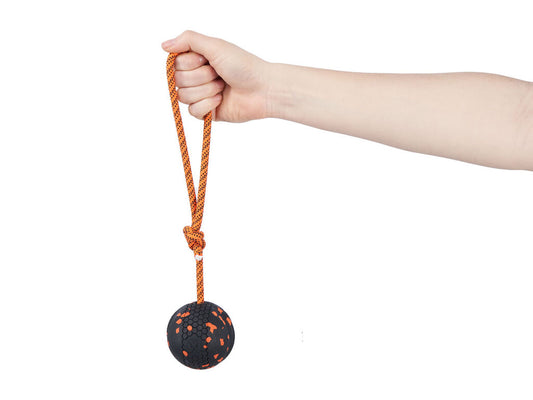 Dog ball on rope