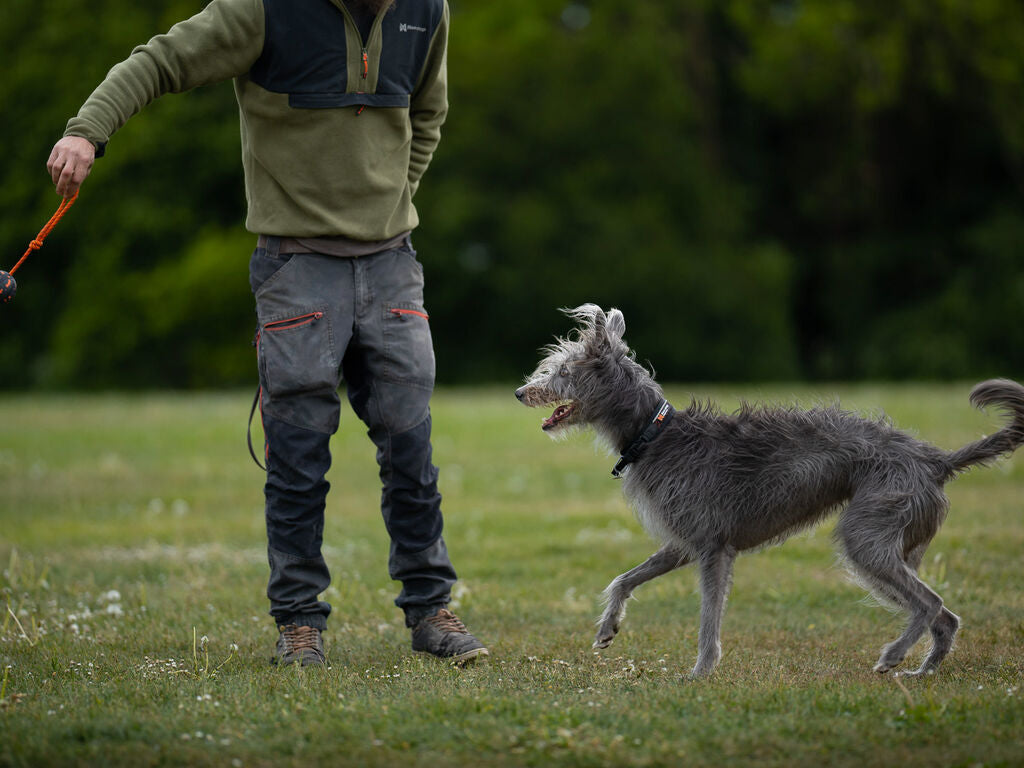 Dog ball on rope