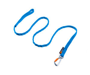 Bungee Lead