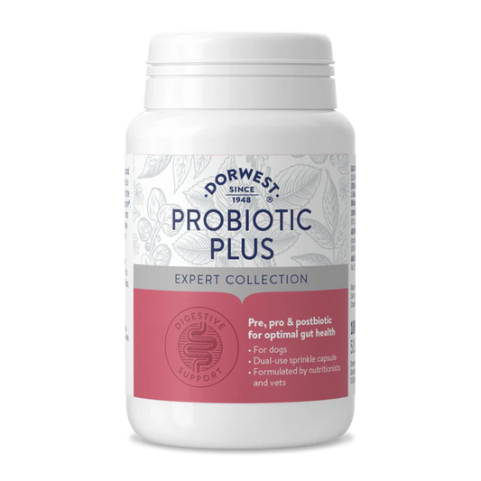 Probiotic Plus