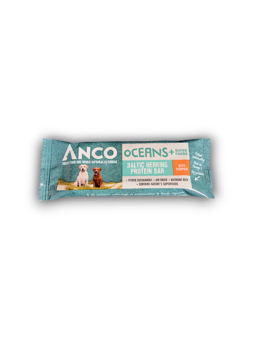 Anco Oceans Protein Bar with Pumpkin