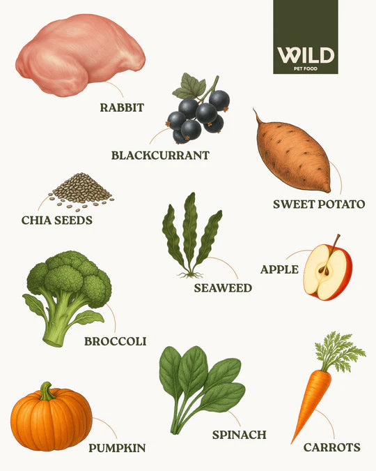 Rabbit - 80:20 Lean Cold-Pressed