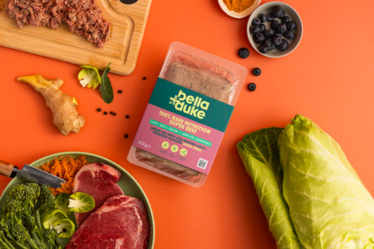 Bella & Duke: Super Beef