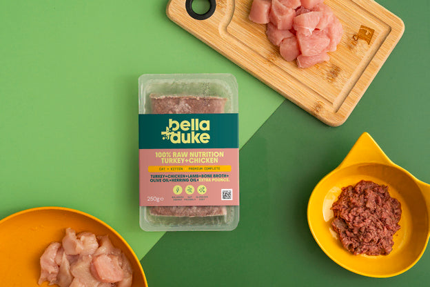 Bella & Duke Cat: Turkey & Chicken