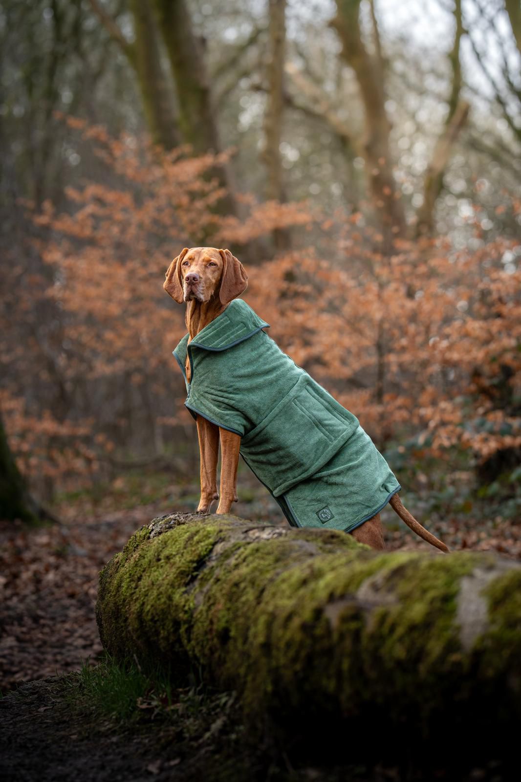 Stellar Pet Products Dry Robes